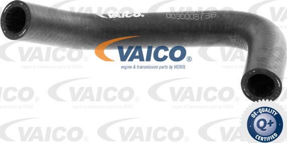 VAICO V10-2814 - Radiatora cauruļvads autodraugiem.lv