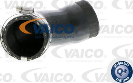 VAICO V10-2831 - Pūtes sistēmas gaisa caurule autodraugiem.lv
