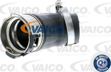 VAICO V10-2832 - Pūtes sistēmas gaisa caurule autodraugiem.lv