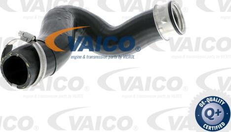 VAICO V10-2837 - Pūtes sistēmas gaisa caurule autodraugiem.lv
