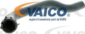 VAICO V10-2347 - Radiatora cauruļvads autodraugiem.lv