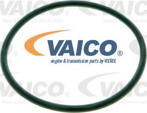 VAICO V10-2287 - Hidrofiltrs, Automātiskā pārnesumkārba autodraugiem.lv