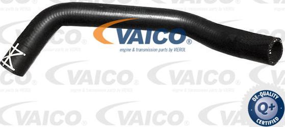 VAICO V10-7564 - Radiatora cauruļvads autodraugiem.lv