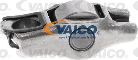 VAICO V10-7578 - Divplecu svira, Motora vadība autodraugiem.lv