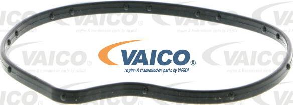 VAICO V30-50056 - Ūdenssūknis autodraugiem.lv
