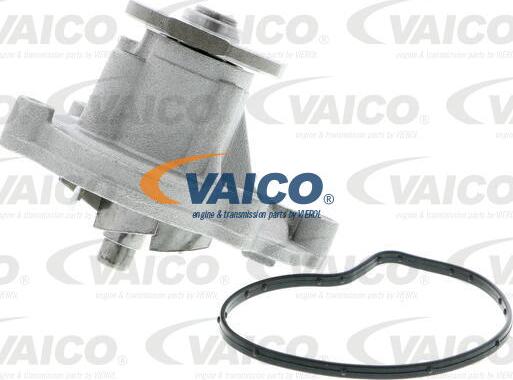 VAICO V30-50056 - Ūdenssūknis autodraugiem.lv