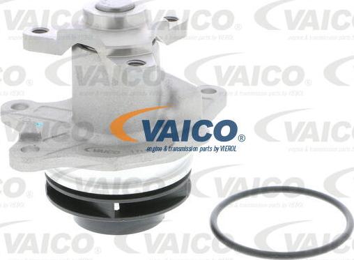 VAICO V30-50025 - Ūdenssūknis autodraugiem.lv