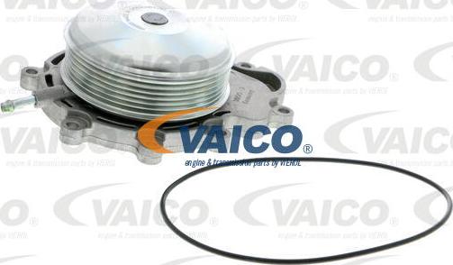VAICO V30-50077 - Ūdenssūknis autodraugiem.lv