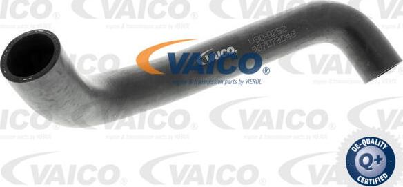 VAICO V30-0252 - Radiatora cauruļvads autodraugiem.lv