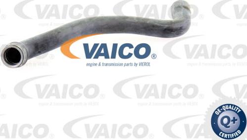 VAICO V30-1655 - Radiatora cauruļvads autodraugiem.lv