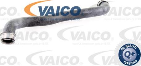 VAICO V30-1653 - Radiatora cauruļvads autodraugiem.lv