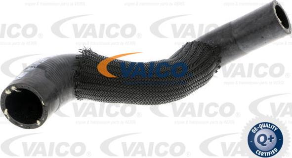 VAICO V30-3149 - Radiatora cauruļvads autodraugiem.lv