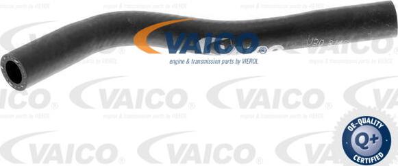 VAICO V30-3146 - Radiatora cauruļvads autodraugiem.lv