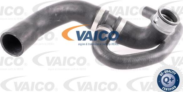VAICO V30-2902 - Radiatora cauruļvads autodraugiem.lv