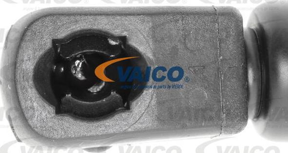 VAICO V30-2066 - Gāzes atspere, Bagāžas / Kravas nodalījuma vāks autodraugiem.lv