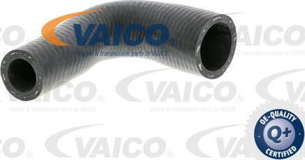 VAICO V30-2250 - Radiatora cauruļvads autodraugiem.lv