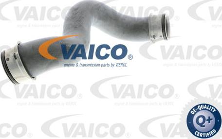 VAICO V30-2225 - Radiatora cauruļvads autodraugiem.lv
