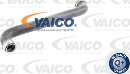 VAICO V30-2226 - Radiatora cauruļvads autodraugiem.lv