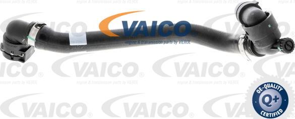 VAICO V24-0830 - Radiatora cauruļvads autodraugiem.lv