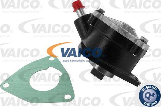 VAICO V24-7180 - Vakuumsūknis, Bremžu sistēma autodraugiem.lv