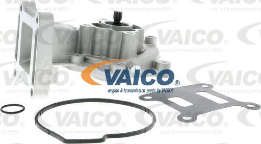 VAICO V25-50014 - Ūdenssūknis autodraugiem.lv