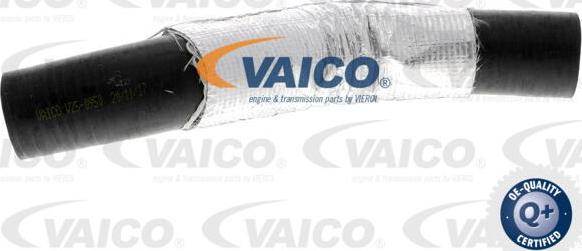 VAICO V25-0950 - Pūtes sistēmas gaisa caurule autodraugiem.lv