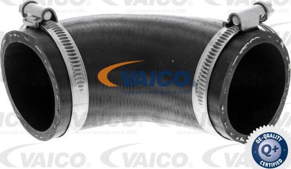 VAICO V25-1016 - Pūtes sistēmas gaisa caurule autodraugiem.lv