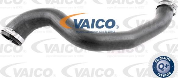 VAICO V25-1028 - Pūtes sistēmas gaisa caurule autodraugiem.lv