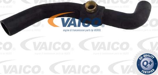 VAICO V25-2568 - Radiatora cauruļvads autodraugiem.lv