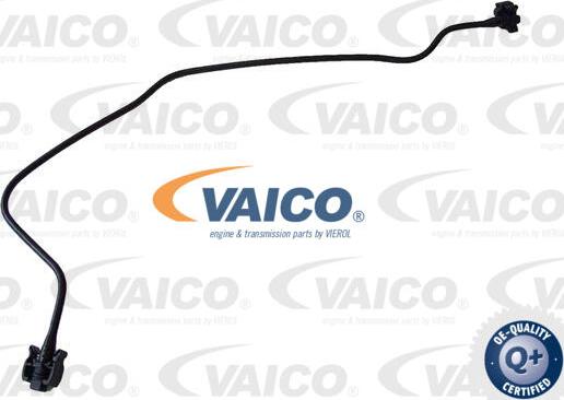 VAICO V25-2341 - Radiatora cauruļvads autodraugiem.lv