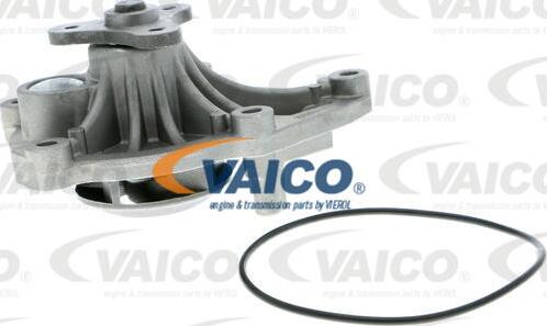 VAICO V20-50045 - Ūdenssūknis autodraugiem.lv