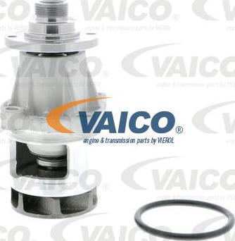 VAICO V20-50013 - Ūdenssūknis autodraugiem.lv