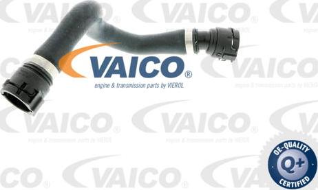 VAICO V20-0884 - Radiatora cauruļvads autodraugiem.lv