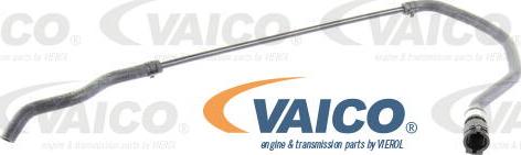VAICO V20-1312 - Radiatora cauruļvads autodraugiem.lv