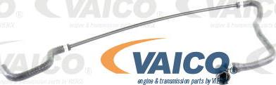 VAICO V20-1298 - Radiatora cauruļvads autodraugiem.lv