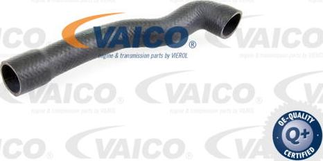 VAICO V20-1239 - Radiatora cauruļvads autodraugiem.lv