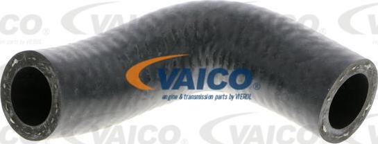 VAICO V20-1769 - Radiatora cauruļvads autodraugiem.lv