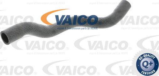 VAICO V20-1709 - Radiatora cauruļvads autodraugiem.lv