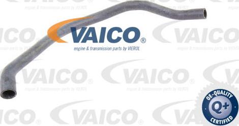 VAICO V20-1782 - Radiatora cauruļvads autodraugiem.lv