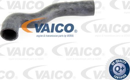VAICO V20-1776 - Radiatora cauruļvads autodraugiem.lv