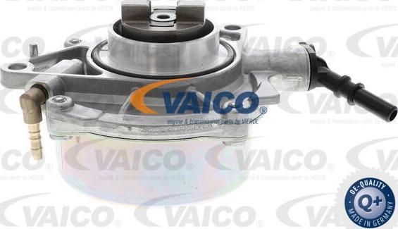 VAICO V20-8143 - Vakuumsūknis, Bremžu sistēma autodraugiem.lv