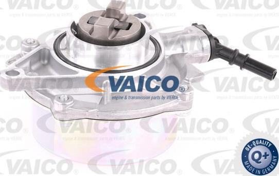 VAICO V20-8132 - Vakuumsūknis, Bremžu sistēma autodraugiem.lv