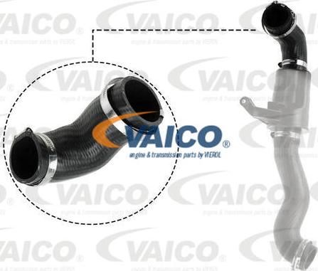 VAICO V20-3626 - Radiatora cauruļvads autodraugiem.lv