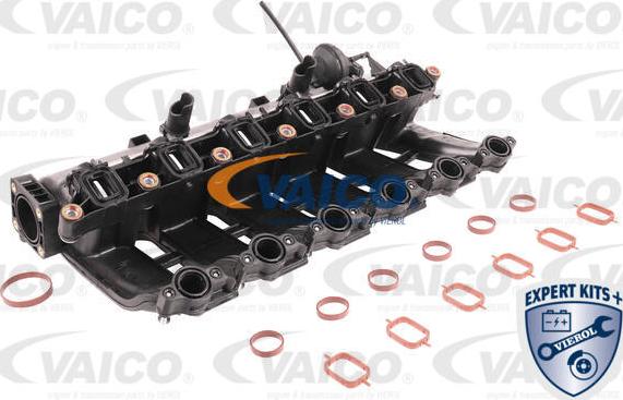 VAICO V20-3002 - Ieplūdes caurules modulis autodraugiem.lv