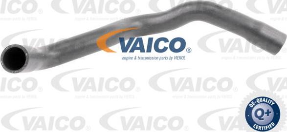 VAICO V20-3246 - Radiatora cauruļvads autodraugiem.lv