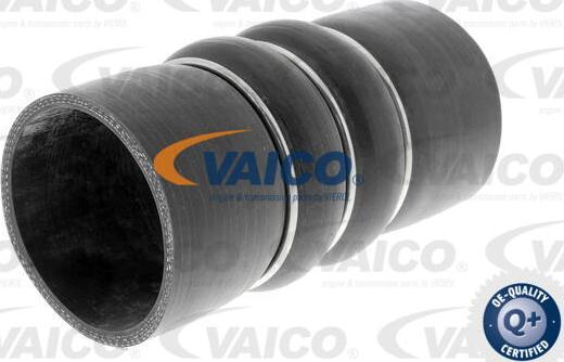 VAICO V20-2993 - Pūtes sistēmas gaisa caurule autodraugiem.lv