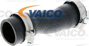 VAICO V20-2461 - Radiatora cauruļvads autodraugiem.lv