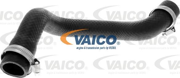VAICO V20-2463 - Radiatora cauruļvads autodraugiem.lv