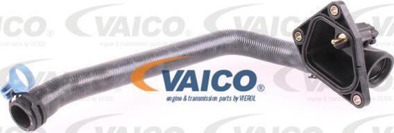 VAICO V20-2653 - Radiatora cauruļvads autodraugiem.lv