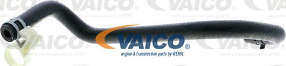 VAICO V20-2894 - Radiatora cauruļvads autodraugiem.lv